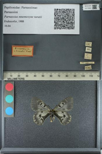 Media type: image;   Entomology 179952